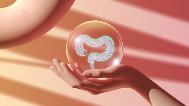Gut Health and Acne Connection: How Your Gut Affects Your Skin Gut Health and Acne Connection: How Your Gut Affects Your Skin
